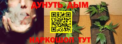 Альфа ПВП Кинель