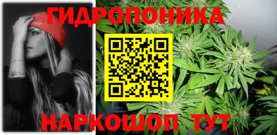 Альфа ПВП Кинель
