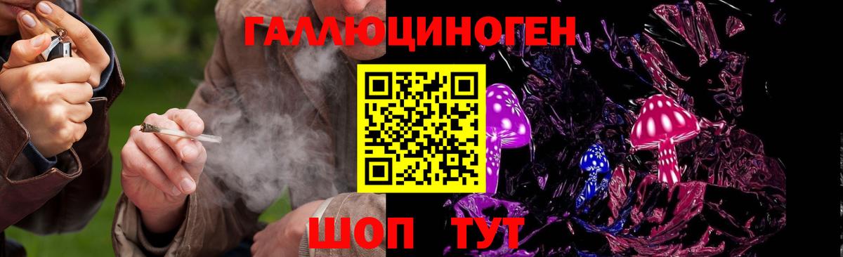Галлюциногенные грибы Cubensis  Вход с VPN  Унеча 